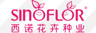��ŵ������ҵ