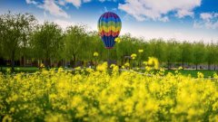 【连云港拓展】介绍三种热门拓展训练基地的类型