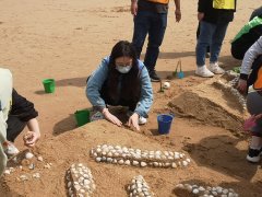 打造完美连云港拓展活动教你三招必杀技！