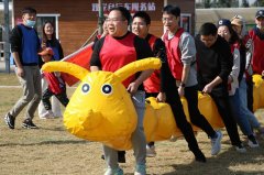 如何策划一场高效的连云港拓展训练